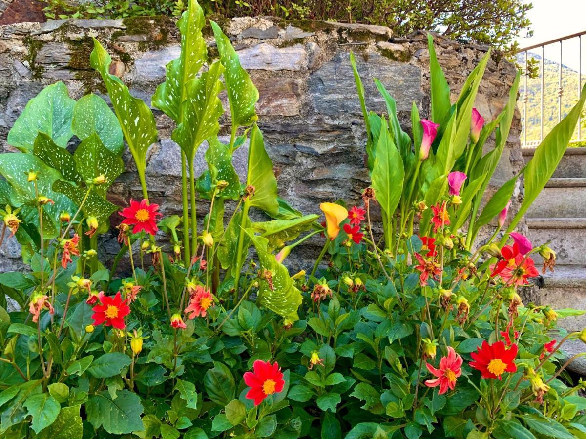Il Granaio - Ancient Molino Maufet Watermill On Lake Como - Garden View Colico Exterior photo